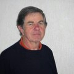 Vicente Bage