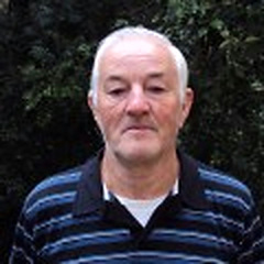 Toninho