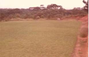 campo_2