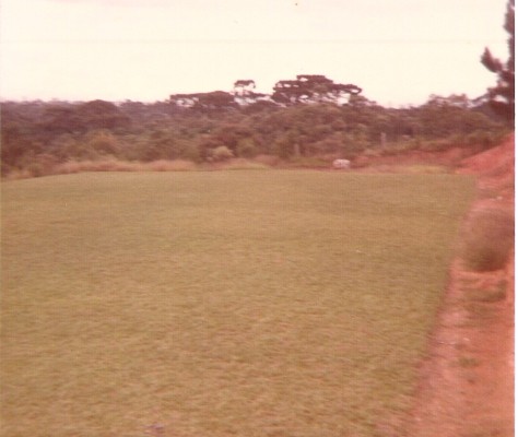 campo_2