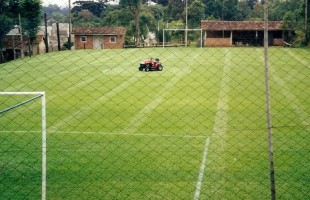campo_4