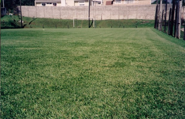 campo_5_m