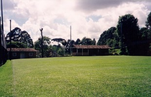campo_6