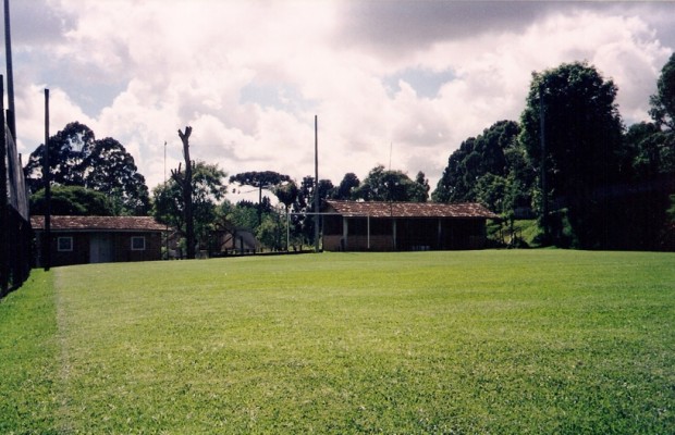 campo_6