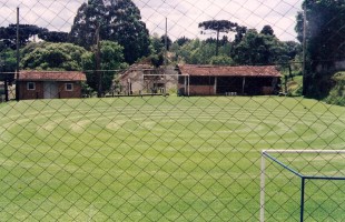 campo_7