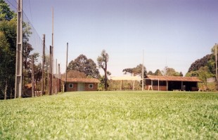 campo_8