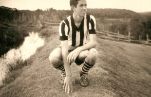 Arlindo Zilli